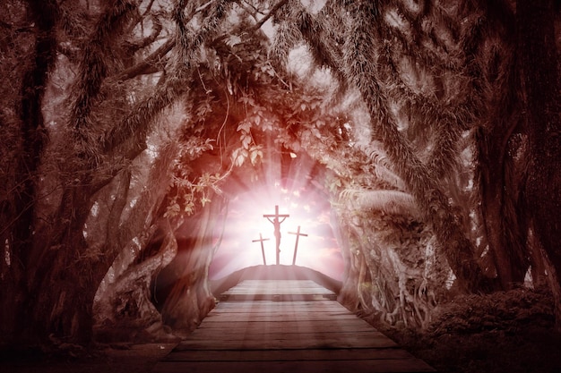 Túnel de ramas de árboles hacia tres crucifijos