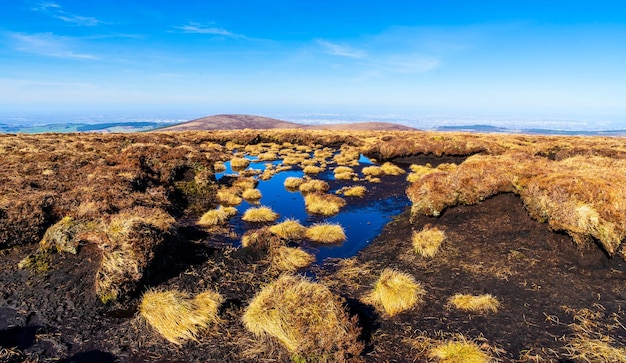 Turba cubierta en las montañas de Wicklow