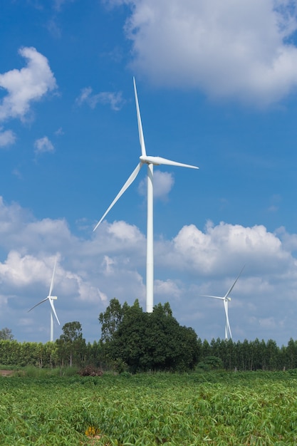 Turbina de vento no parque eólico com céu