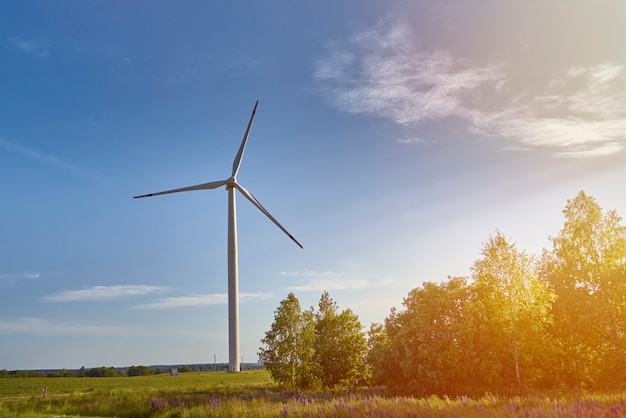 Turbina eólica em um campo verde