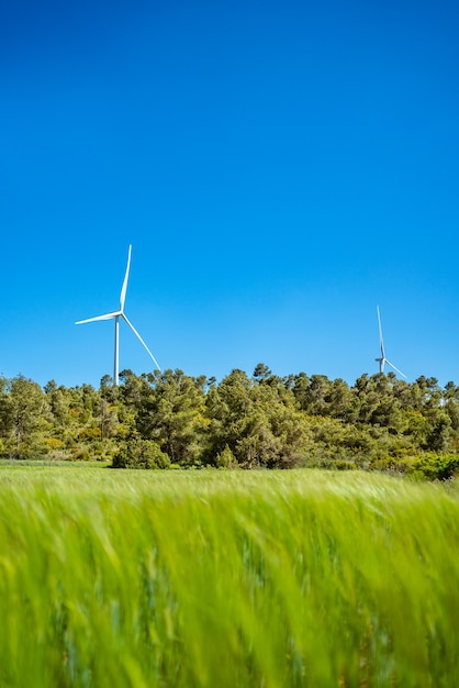 Turbina eólica se destaca em um prado verde