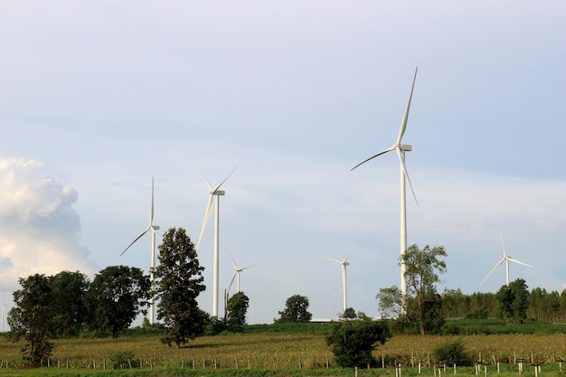 Turbina eólica