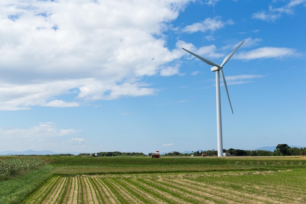 Turbina de viento y campo verde