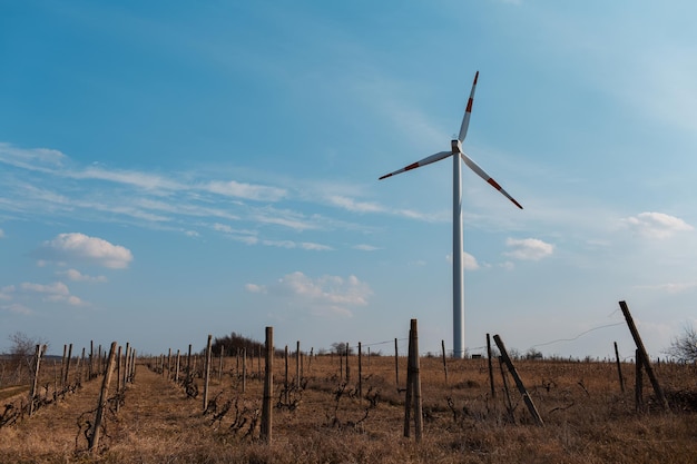 Turbina de viento en campo de viñedo agrícola molino de viento que genera energía verde Fondo de cielo azul