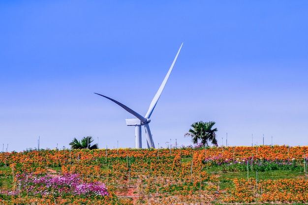 Turbina de viento detrás de las colinas de flores.