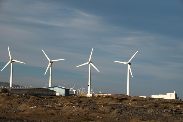 Turbina de viento del generador de energía