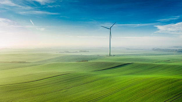 Turbina de viento de niebla en campo verde al amanecer.