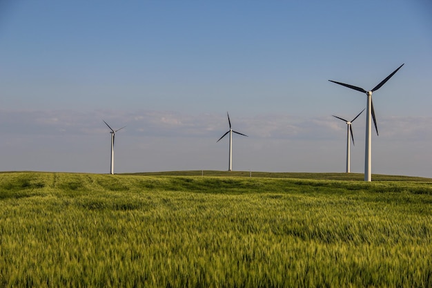 Turbinas eólicas en el campo contra el cielo durante la puesta del sol