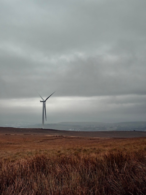 Turbinas eólicas en el campo contra el cielo
