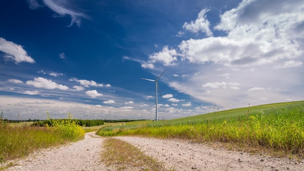 Turbinas eólicas em um prado como energia alternativa no verão