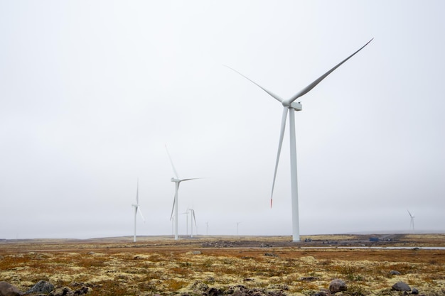 Turbinas eólicas para gerar eletricidade no campo em um dia nublado e ventoso Problemas de energia global