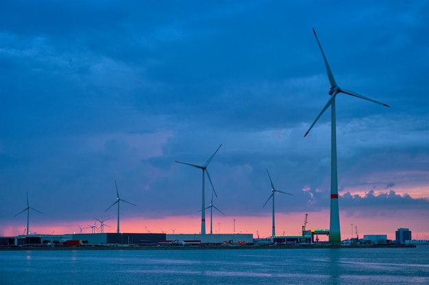 Foto turbinas eólicas en el puerto de amberes por la noche