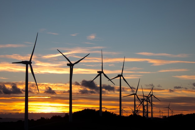 turbinas de viento al atardecer