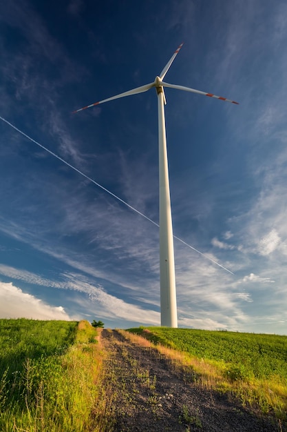 Turbinas de viento blancas en un día soleado como energía alternativa