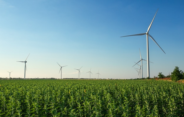 Turbinas de viento y campo agrícola en un día nublado de verano