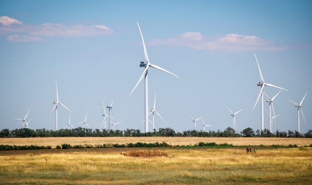 Turbinas de viento y campo agrícola en un día de verano. Producción de energía, energías limpias y renovables.