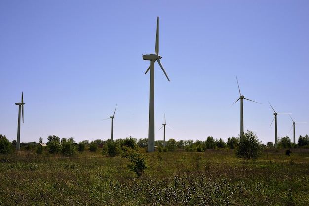 Turbinas de viento en un campo con árboles en el fondo