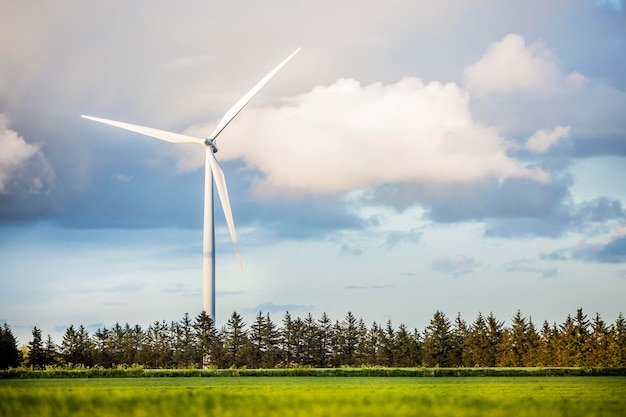 Turbinas de viento en un campo verde en Dinamarca