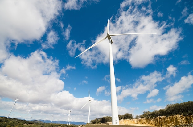 Foto turbinas de viento.