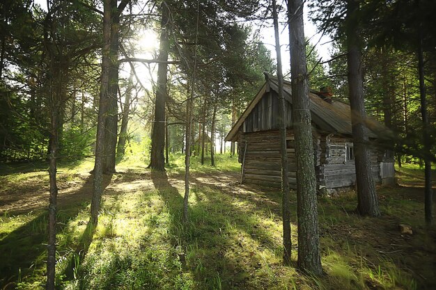 turismo atividades ao ar livre, casa de férias em uma floresta de pinheiros, paisagem de verão dia ensolarado natureza norte