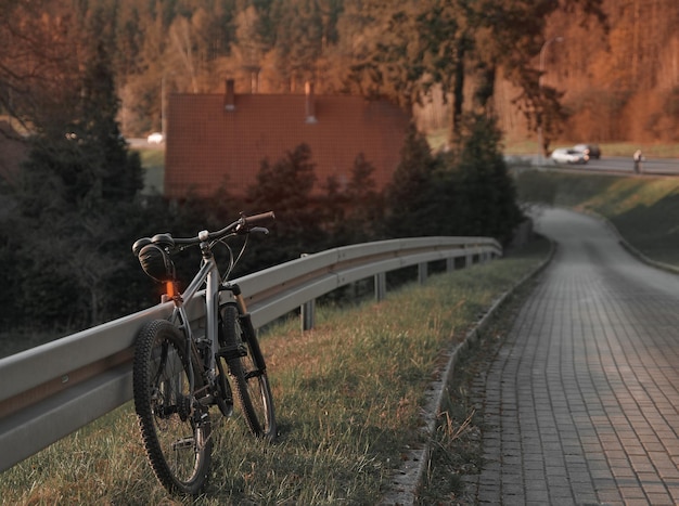 Turismo de bicicleta Ciclismo ao ar livre na Europa Lazer na natureza Caminho e bicicleta perto da floresta de pinheiros