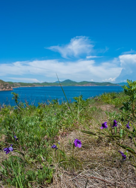 Foto turismo e viagens marítimas descanse no mar