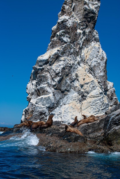 Turismo e viagens marítimas. Descanse no mar.