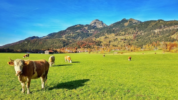 Turismo rural en Bayern