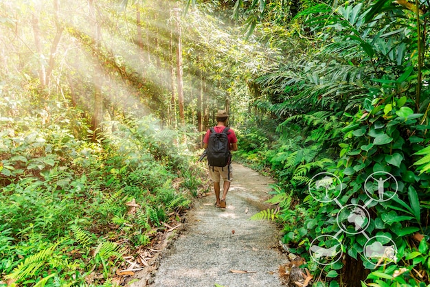 Turismo verde Turismo sostenible Ecoturismo y concepto de ecosistemas y preservación de la naturaleza