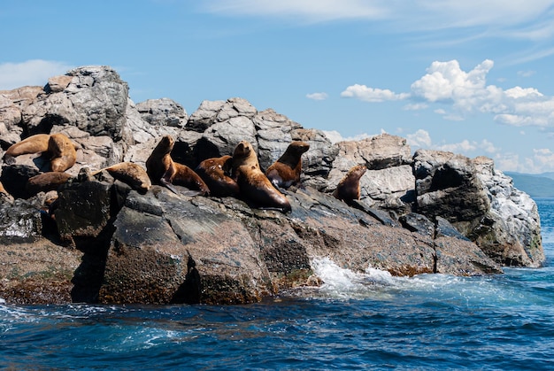 Foto turismo y viajes marítimos. descanso en el mar.