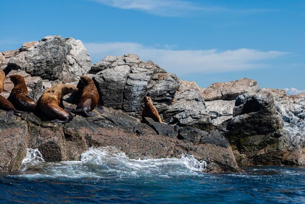 Foto turismo y viajes marítimos. descanso en el mar.