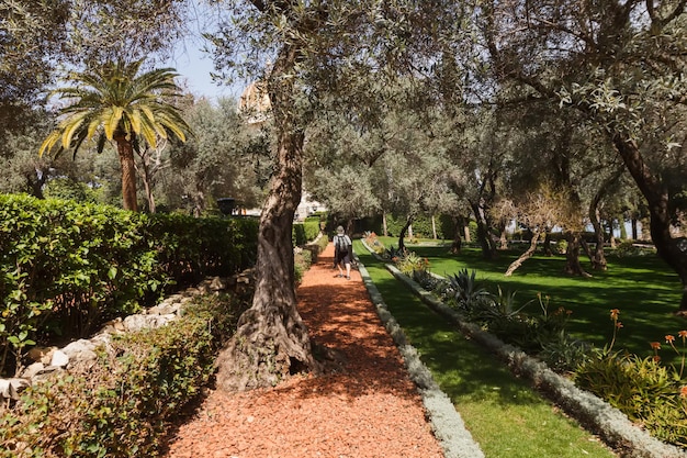 Turista con una cámara entre las plantas de los jardines Bahai