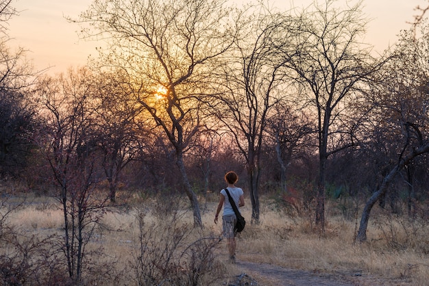 Turista caminando en el bosque de arbustos y Acacia al atardecer, Bushmandland, Namibia. Aventura y exploración en África.