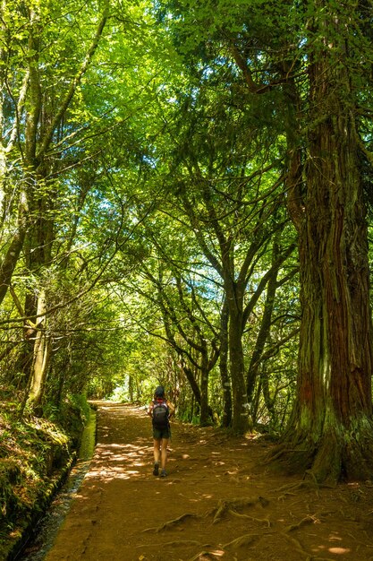 Turista caminhando no verão na trilha da Levada do Caldeirão Verde Queimadas Madeira