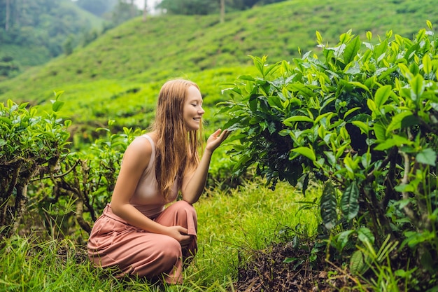 Turista de mulheres em uma plantação de chá. natural selecionado, folhas de chá frescas na fazenda de chá em cameron highlands, malásia. conceito de ecoturismo