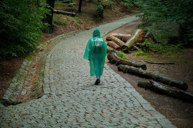 Una turista con impermeable camina por el bosque con sendero