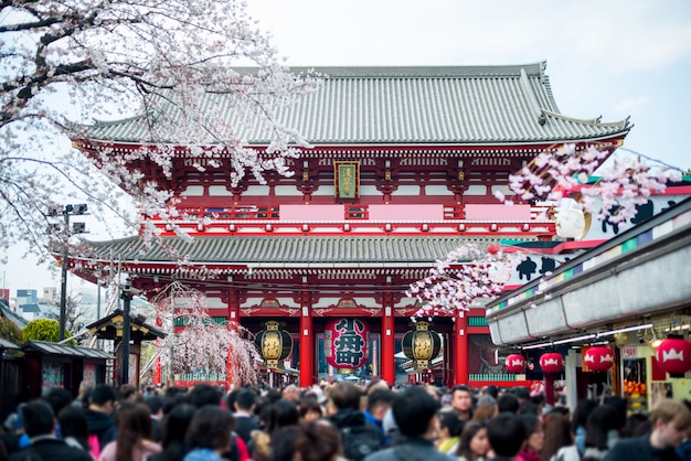 Turista indefinido no santuário de Sensoji. Templo de Sensoji no distrito de Asakusa em Tokyo, Japão.