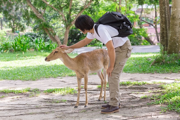 turista masculino com veados. Turismo e viagens conceito