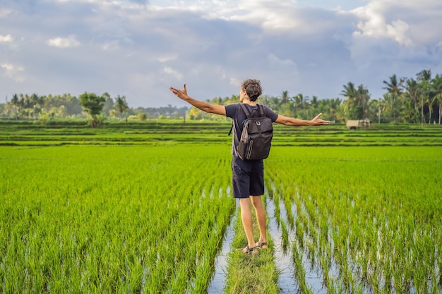 Turista masculino con mochila va al campo de arroz