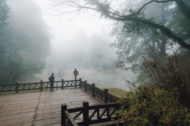 Turista masculino de pie en la plataforma de madera con árboles de cedro y niebla en el fondo