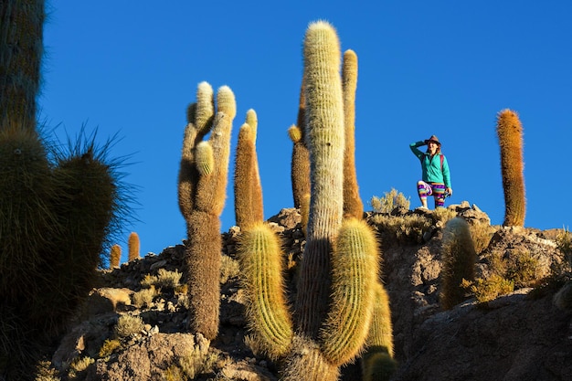 Un turista mira cactus en la isla Incahuasi en el desierto de sal de Uyuni Bolivia