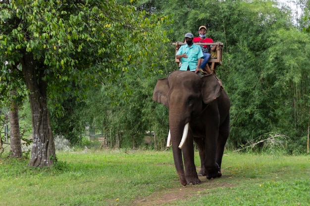 Turista montando elefante a través de la jungla en Lampung, Indonesia