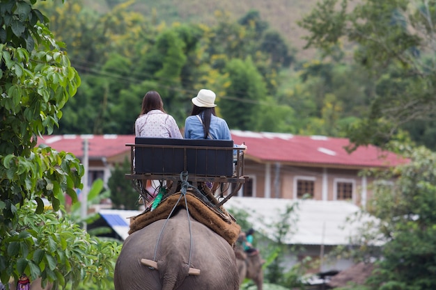 Turista montar um elefante em chiang rai, tailândia