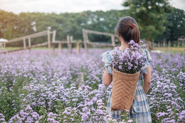 Turista de mujer feliz en vestido azul disfrutar en el jardín de flores de Margaret púrpura. viajes, naturaleza, vacaciones y concepto de vacaciones.