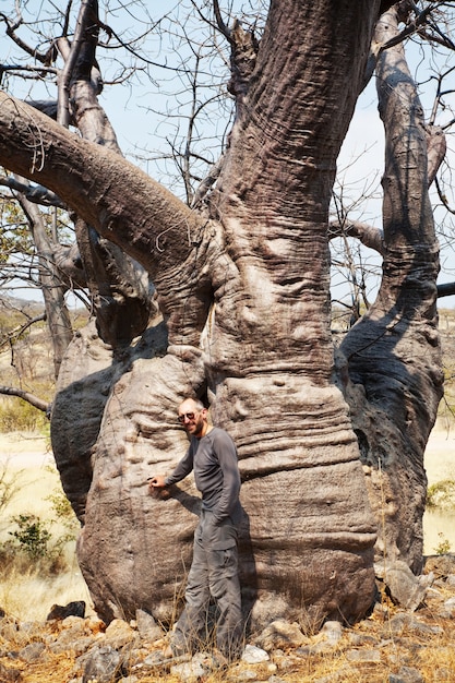 Turista perto de um grande baobá na Namíbia, África