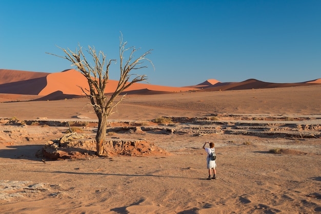 Turista tomando fotos en el pintoresco árbol de acacia trenzado rodeado de majestuosas dunas de arena en Sossusvlei, desierto de Namib, Namibia.