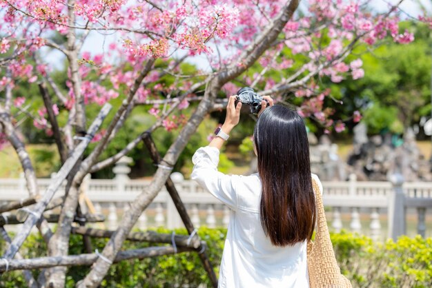 Una turista usa una cámara digital para tomarse una foto con un árbol de sakura