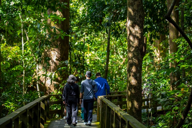 Los turistas en el Animal Conservation Park, un destino turístico en el sudeste asiático, Sandakan, Sabah, Borneo, Malasia