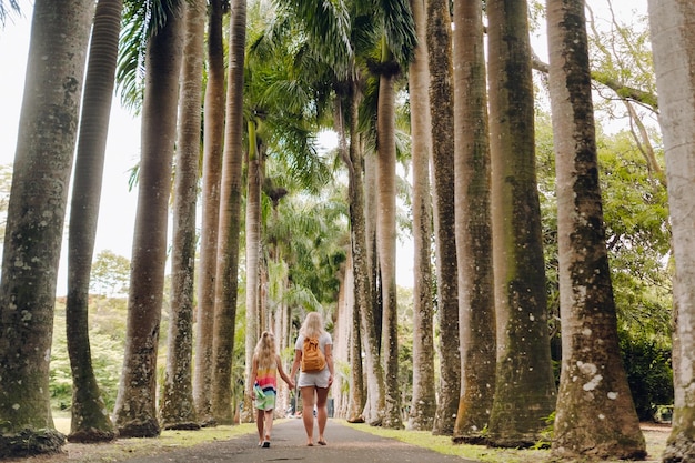 Foto los turistas caminan por la avenida con grandes palmeras en el jardín botánico de pamplemousse en la isla de mauricio.