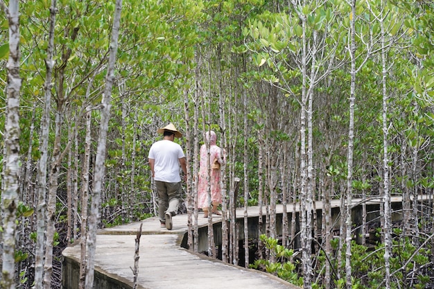 Foto turistas caminando en el bosque de manglar